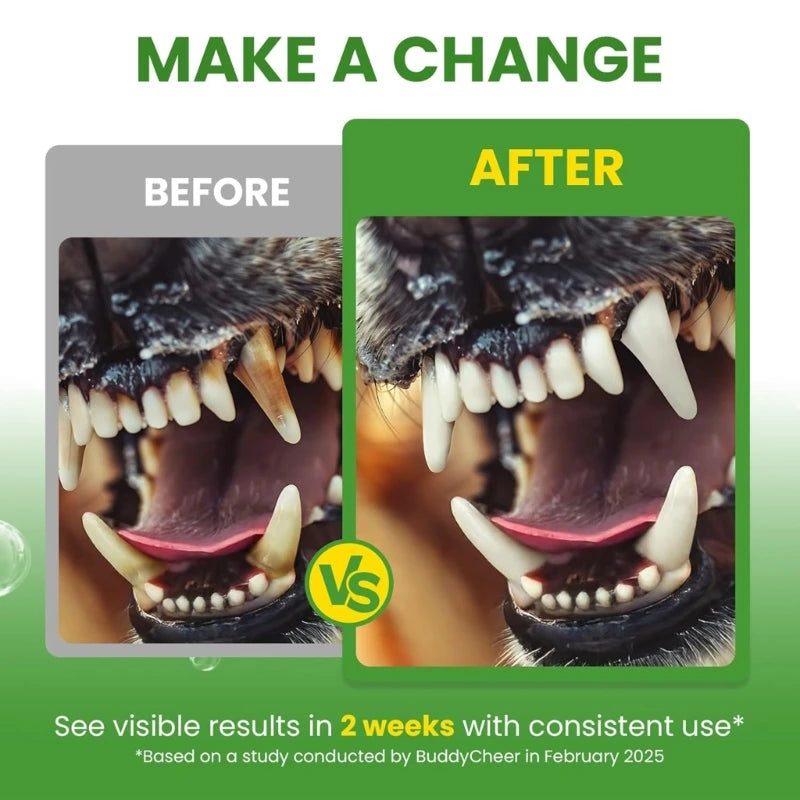 Before and after comparison of a dog's teeth with text about visible results in 2 weeks.