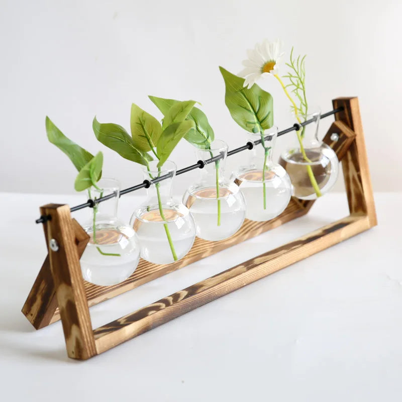 Wooden stand with glass vases containing plants on a white background
