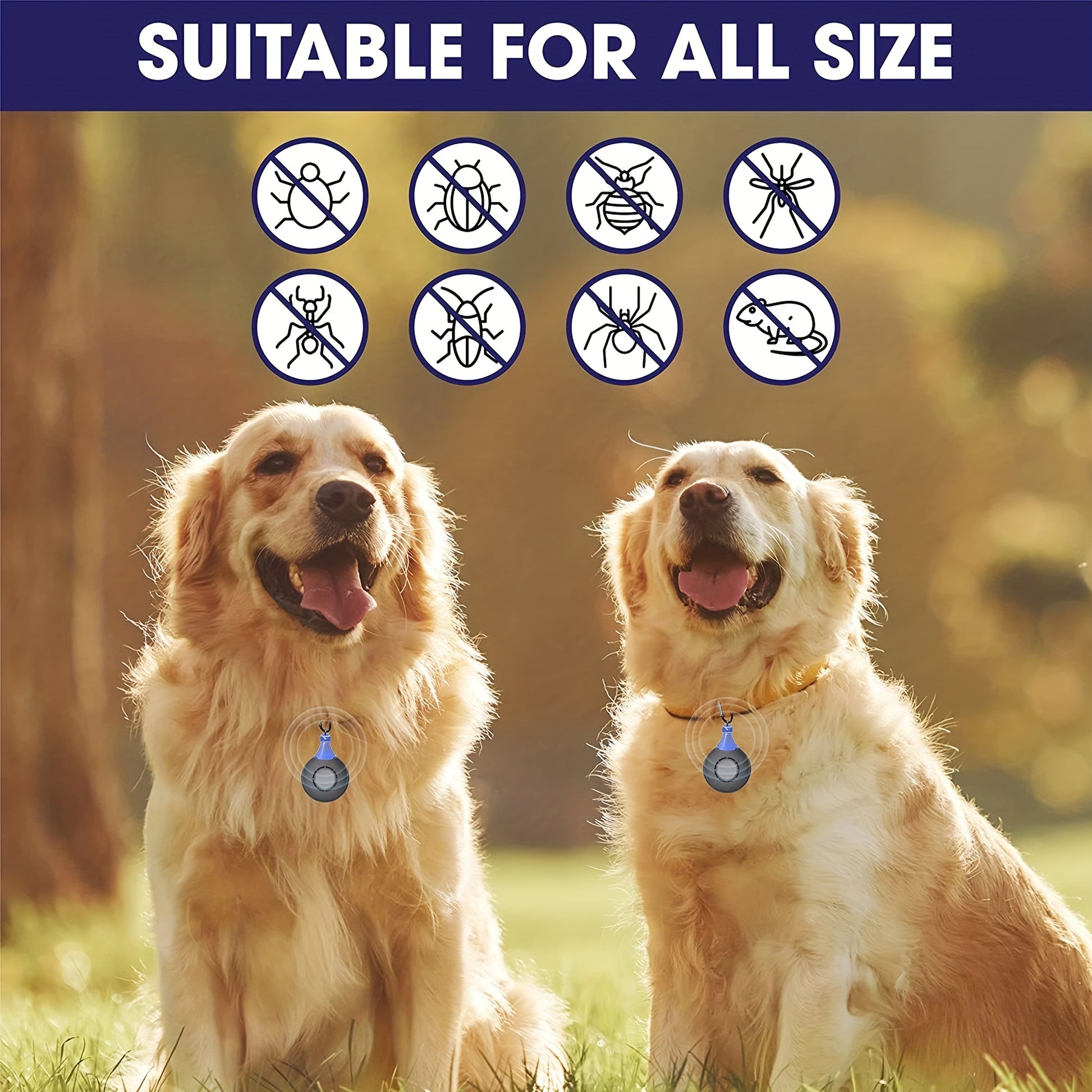Two dogs wearing collars with pest control devices against a natural background.