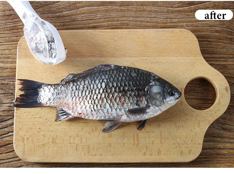 Supper-Scraper Fish Scale Grater Cleaning Tool | A Truly Complete Kitchens Appliance