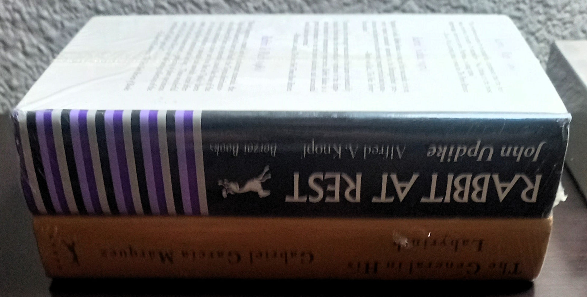 Spines and back cover of The General in His Labyrinth by Gabriel García Márquez and Rabbit at Rest by John Updike