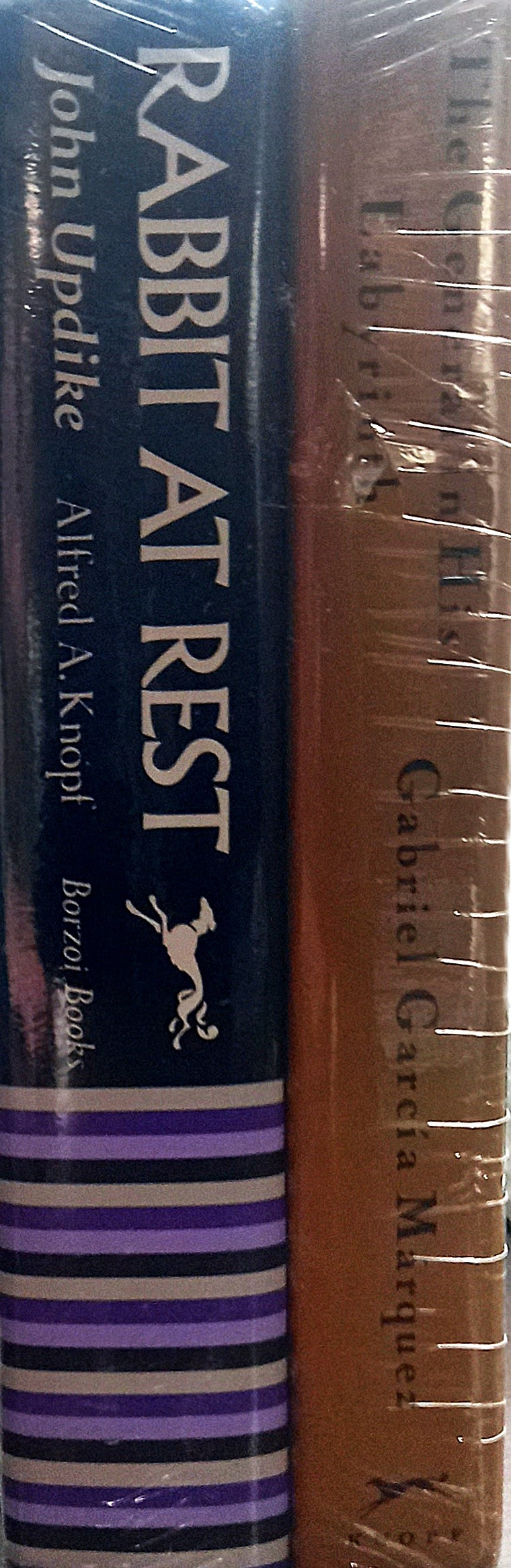 Spines of The General in His Labyrinth by Gabriel García Márquez and Rabbit at Rest by John Updike