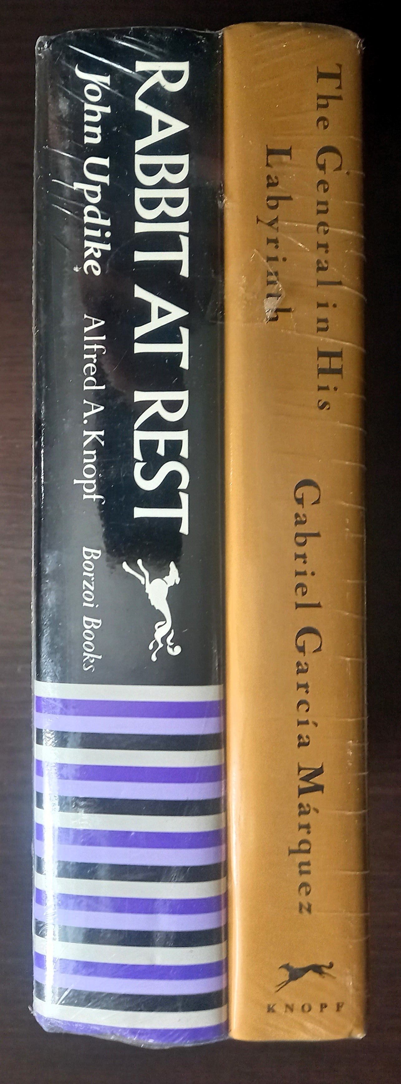 Spines upright angle of The General in His Labyrinth by Gabriel García Márquez and Rabbit at Rest by John Updike