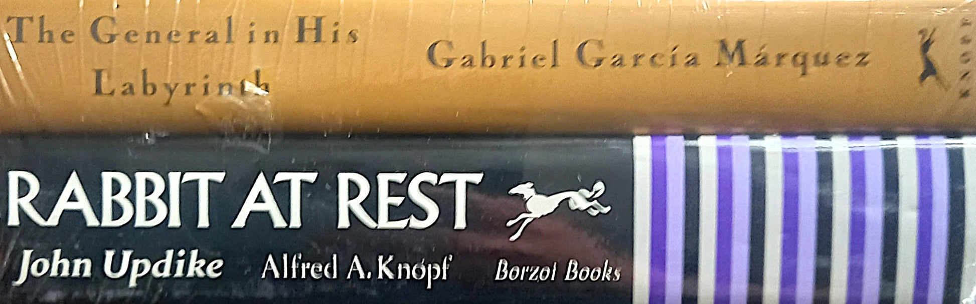 Spines on side angle of The General in His Labyrinth by Gabriel García Márquez and Rabbit at Rest by John Updike