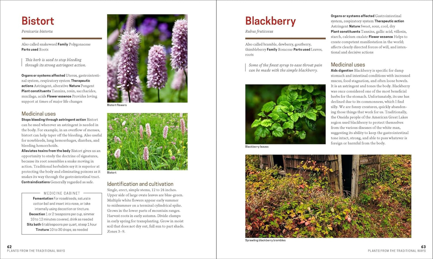 The Herbal Apothecary: 100 Medicinal Herbs and How to Use Them by Dr. JJ Pursell