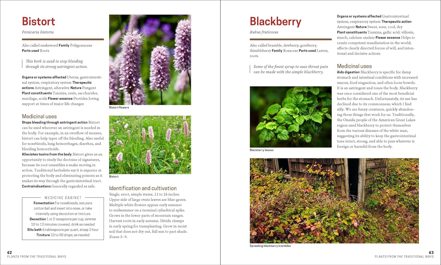 The Herbal Apothecary: 100 Medicinal Herbs and How to Use Them by Dr. JJ Pursell