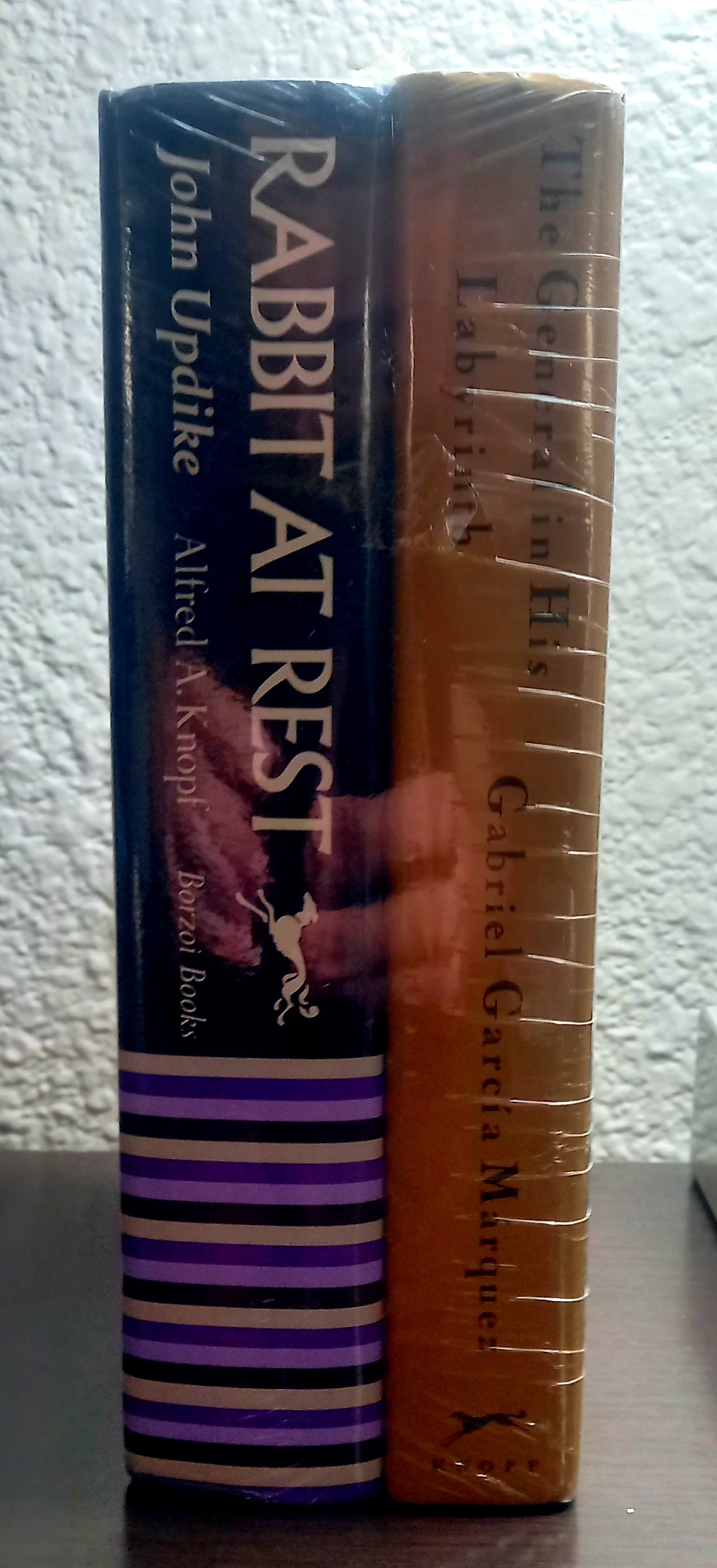 Upright spines of The General in His Labyrinth by Gabriel García Márquez and Rabbit at Rest by John Updike