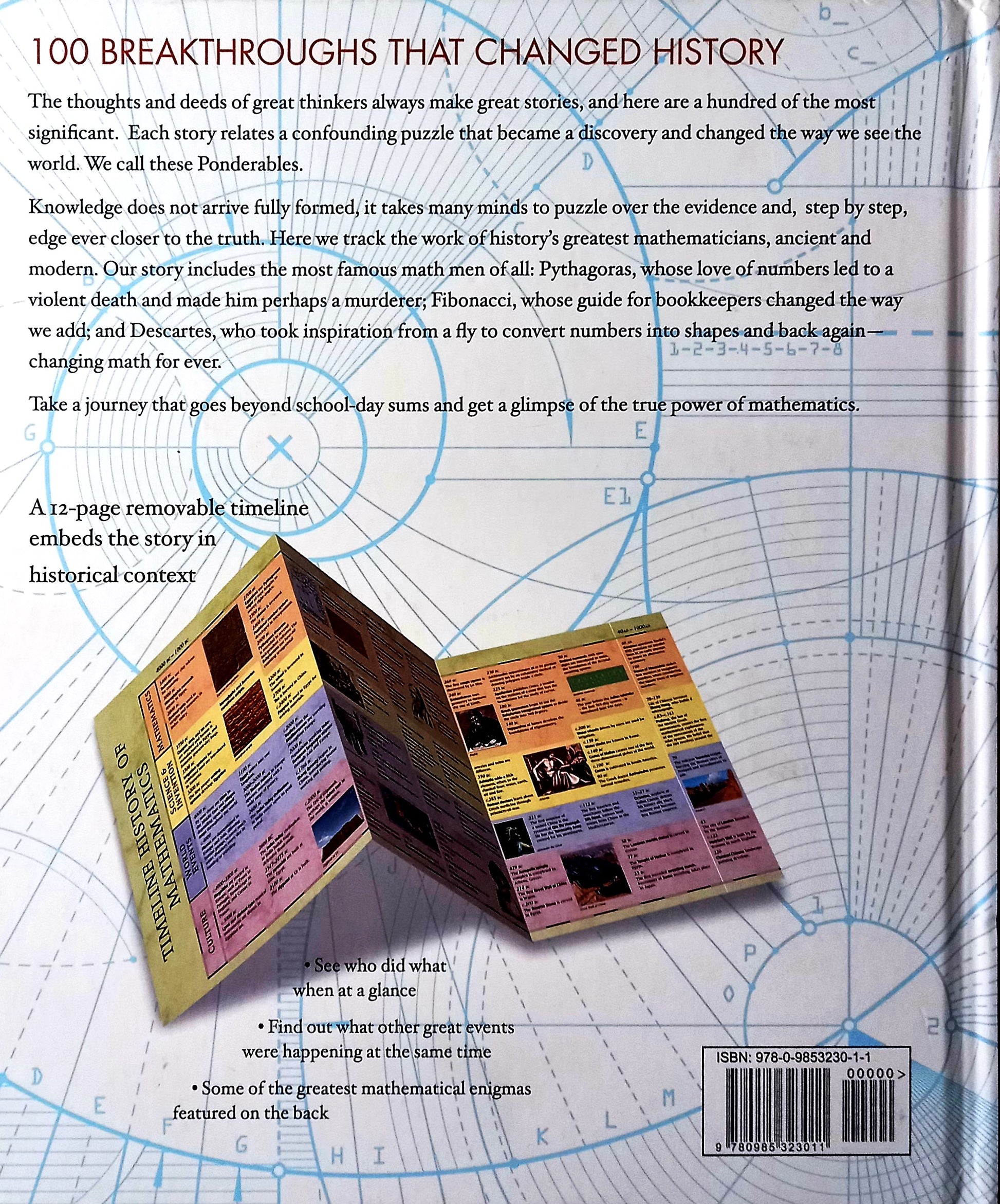 Back cover of Mathematics: An Illustrated History of Numbers by Tom Jackson – hardcover edition
