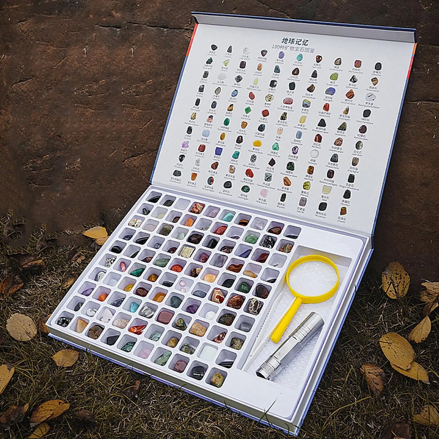 Open book with rock collection and magnifying glass on a natural background