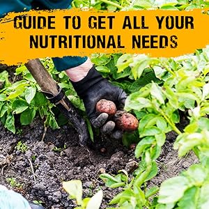 No Grid Survival Projects Bible by Dale Mann