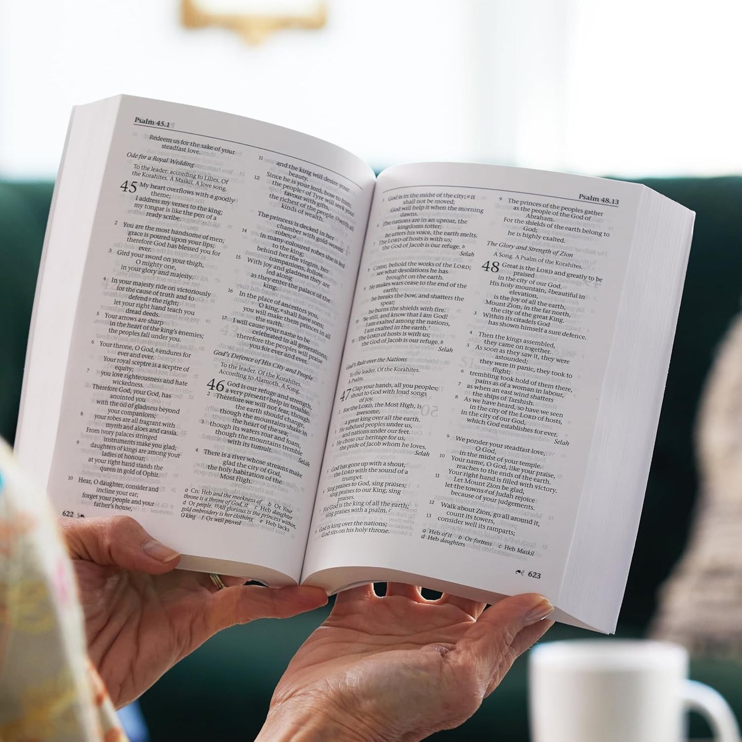 The New Revised Standard Version (NRSV)  Bible