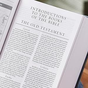 The New Revised Standard Version (NRSV)  Bible