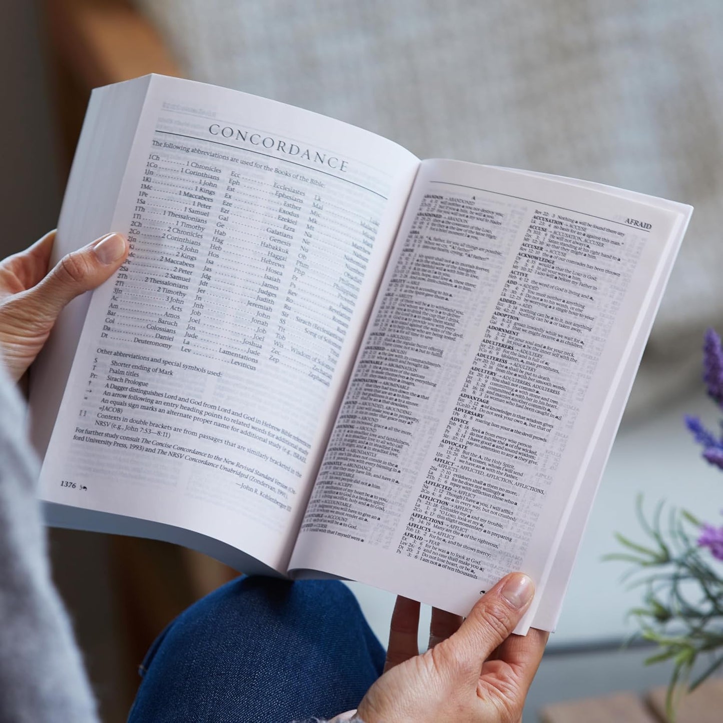 The New Revised Standard Version (NRSV)  Bible