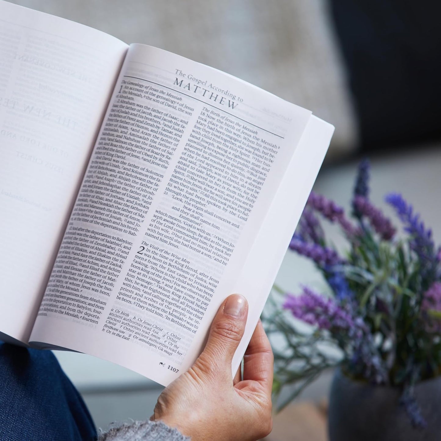 The New Revised Standard Version (NRSV)  Bible