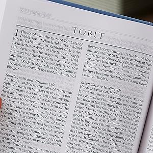 The New Revised Standard Version (NRSV)  Bible