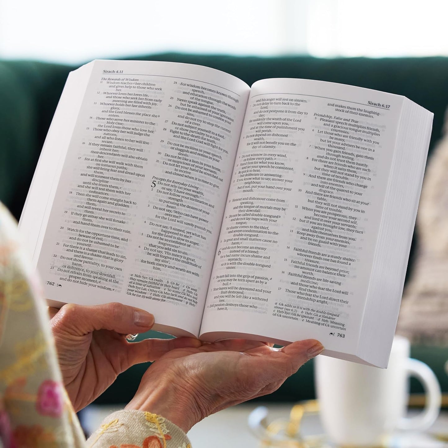 The New Revised Standard Version (NRSV)  Bible