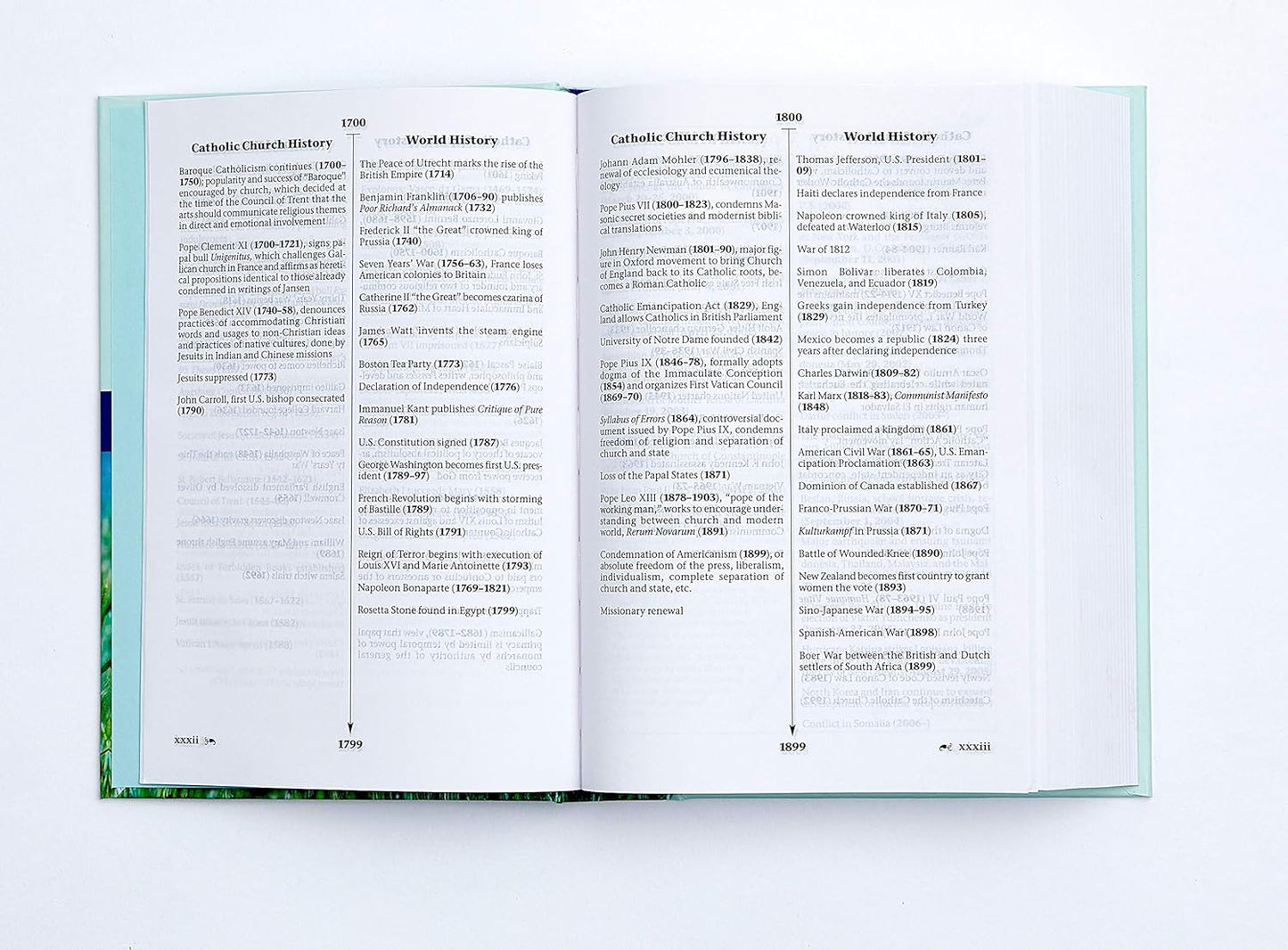 The New Revised Standard Version (NRSV)  Bible