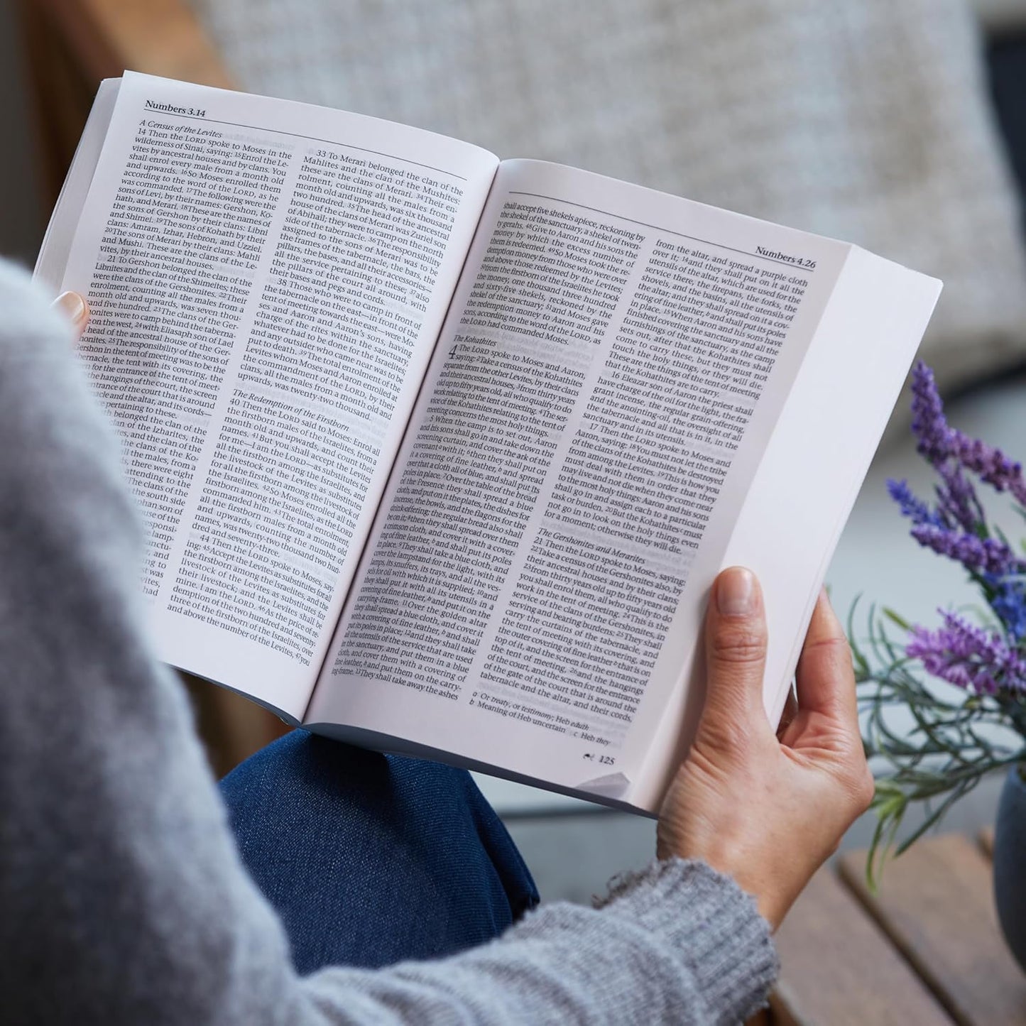 The New Revised Standard Version (NRSV)  Bible