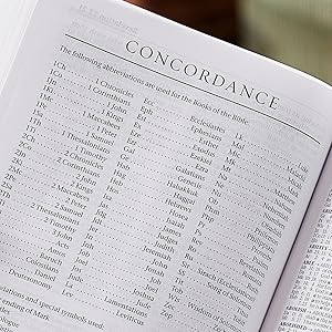 The New Revised Standard Version (NRSV)  Bible