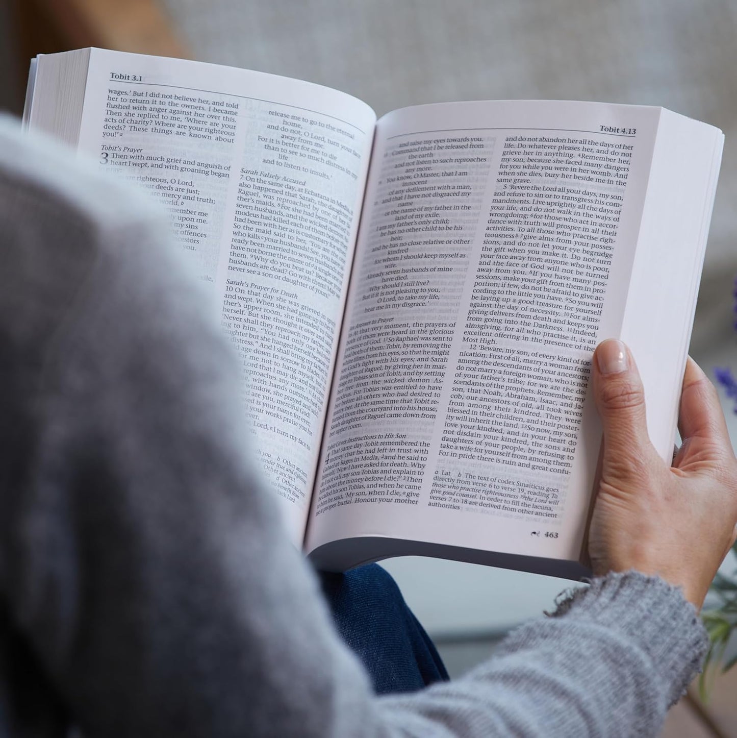 The New Revised Standard Version (NRSV)  Bible
