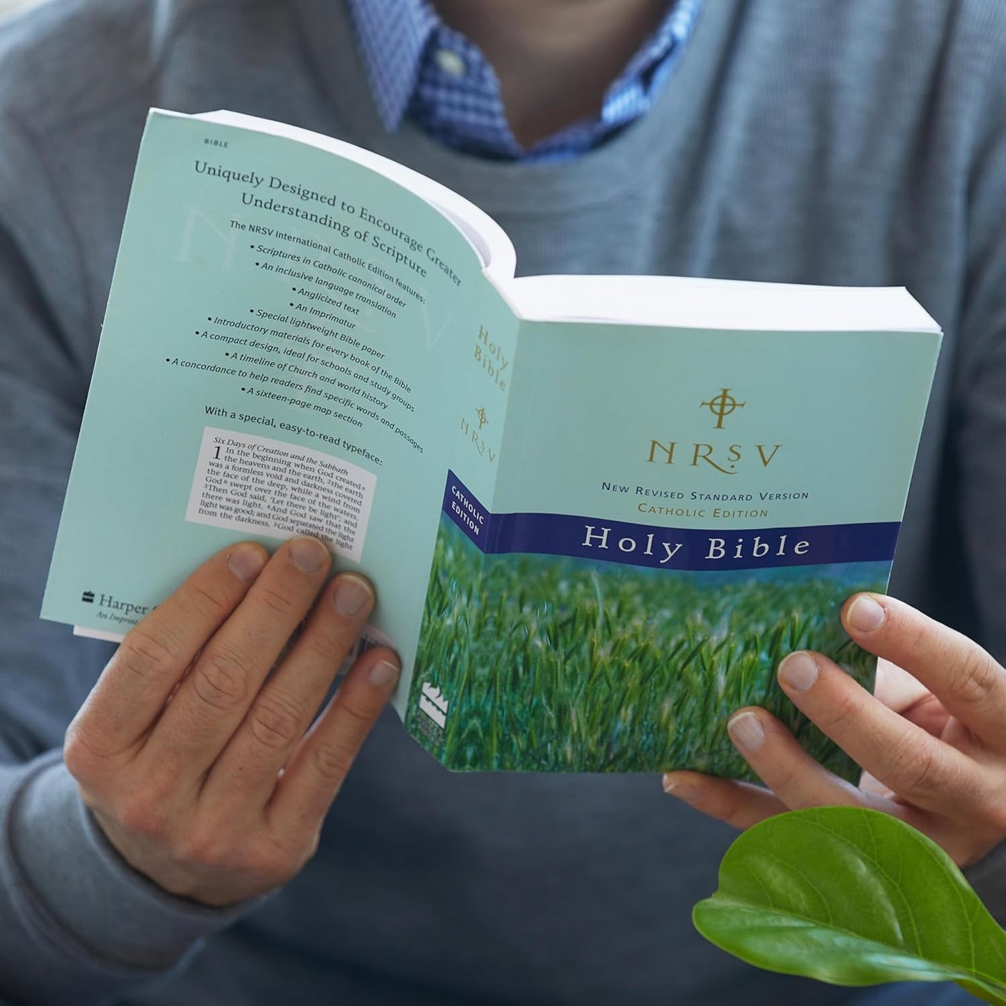The New Revised Standard Version (NRSV)  Bible