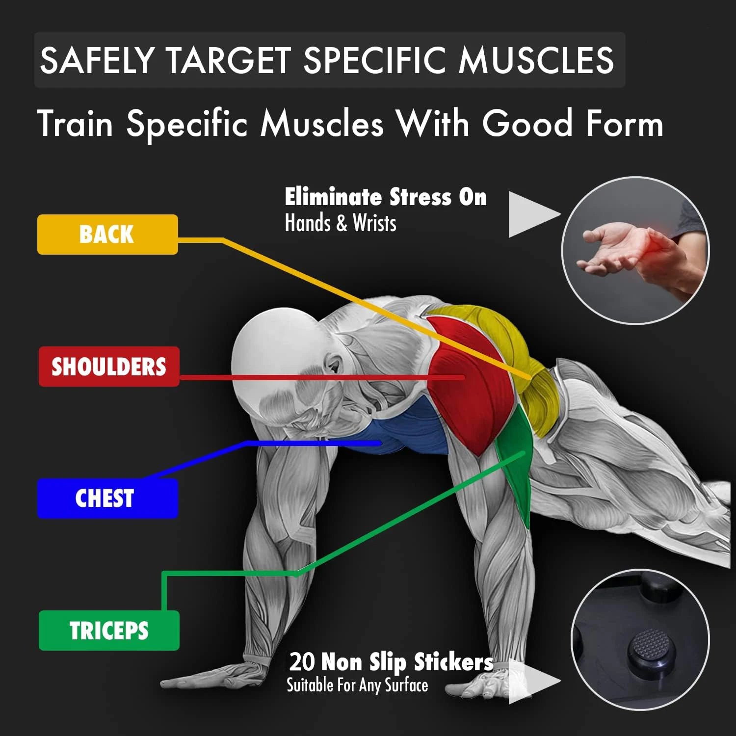 Muscle diagram highlighting back, shoulders, chest, and triceps with text on safe training practices.