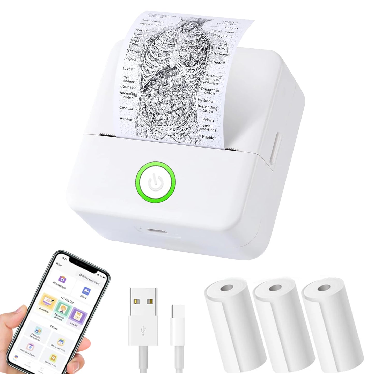 White portable printer with anatomical diagram, smartphone displaying app interface, USB cable, and three rolls of paper on a white background.
