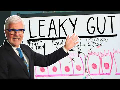 The Surprising Truth About Leaky Gut Nobody Tells You from The Surprising Truth About Leaky Gut Nobody Tells You