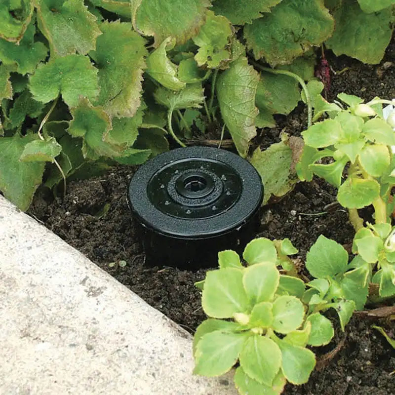 Internal compartment of the Sprinkler Stash-Spot showing waterproof storage for money and valuables.