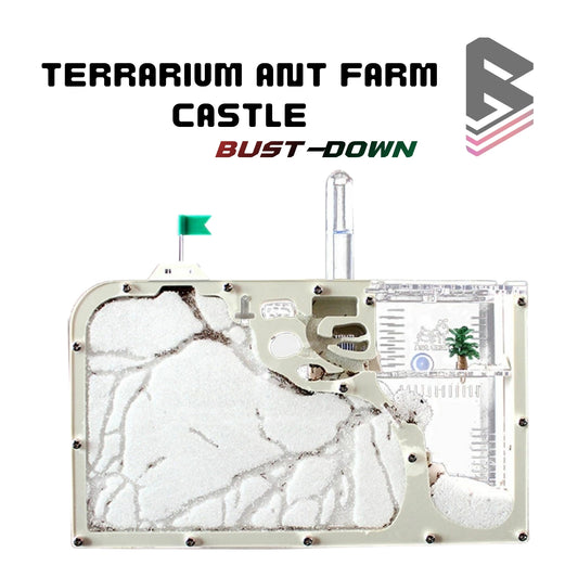 Terrarium Ant Farm Castle | Formicarium Insect Colony Sand Science Study Kits