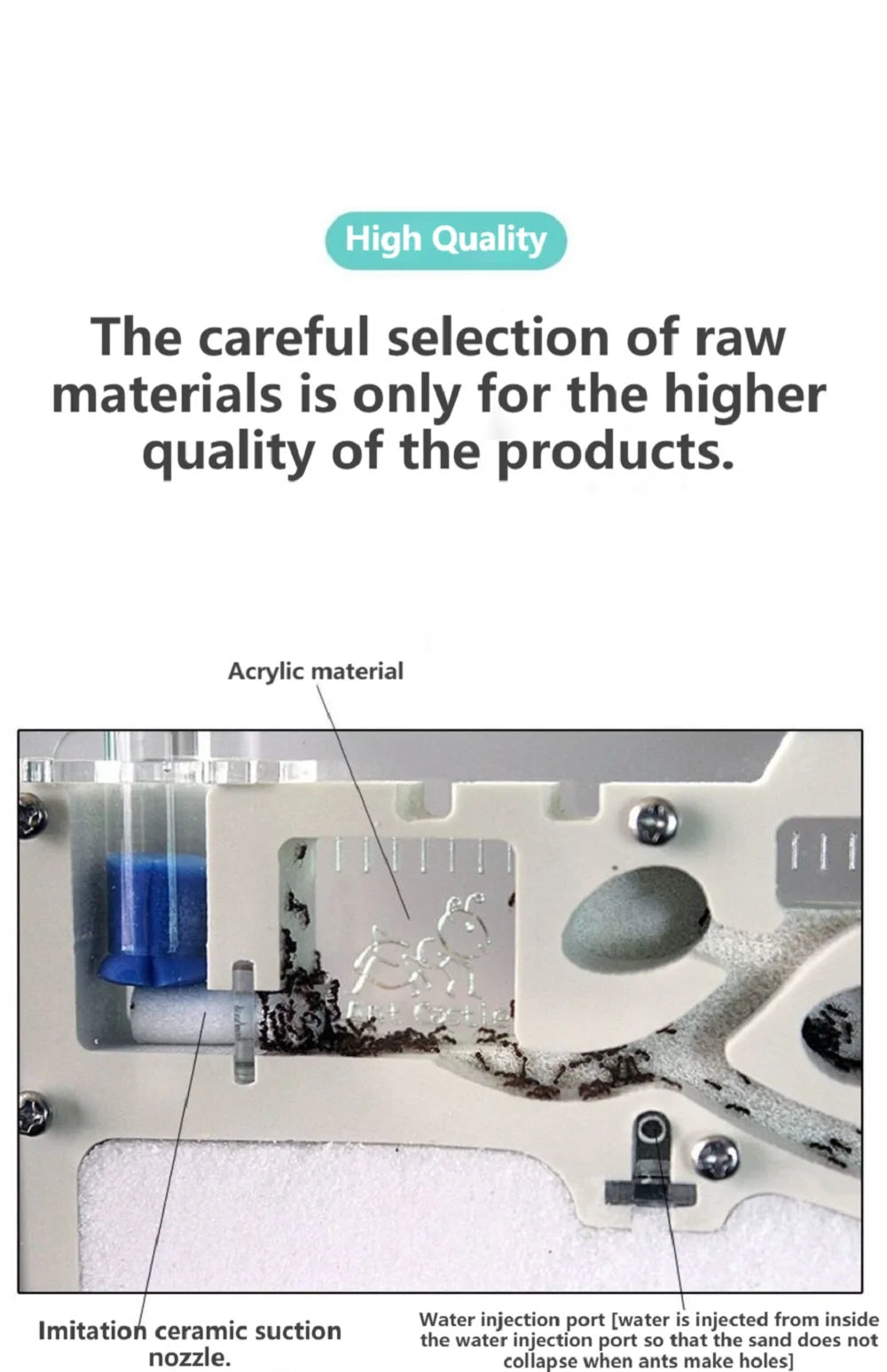 Terrarium Ant Farm Castle | Formicarium Insect Colony Sand Science Study Kits