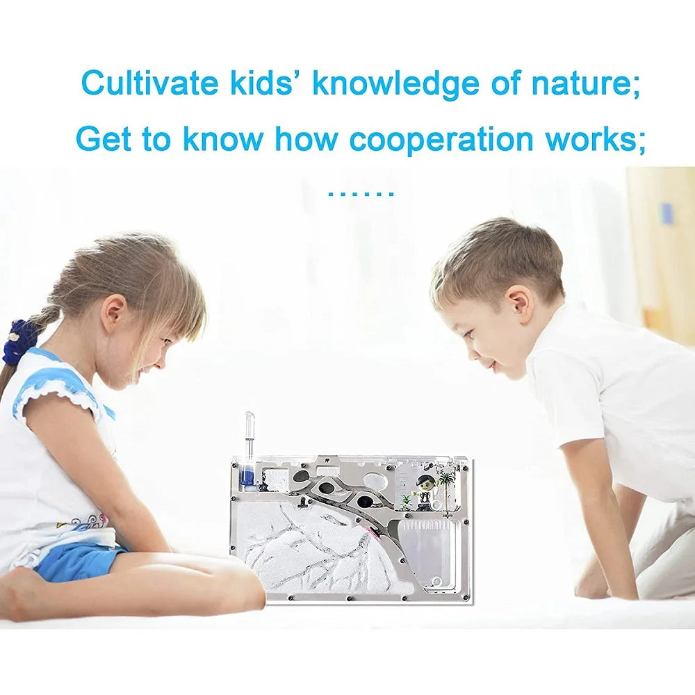 Terrarium Ant Farm Castle | Formicarium Insect Colony Sand Science Study Kits