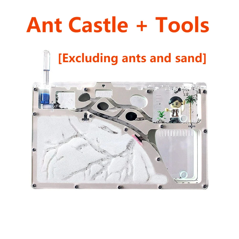Ant farm setup with tools on a white background