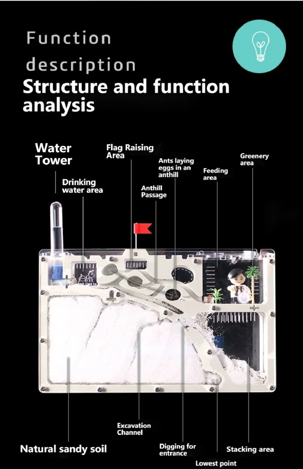 Terrarium Ant Farm Castle | Formicarium Insect Colony Sand Science Study Kits