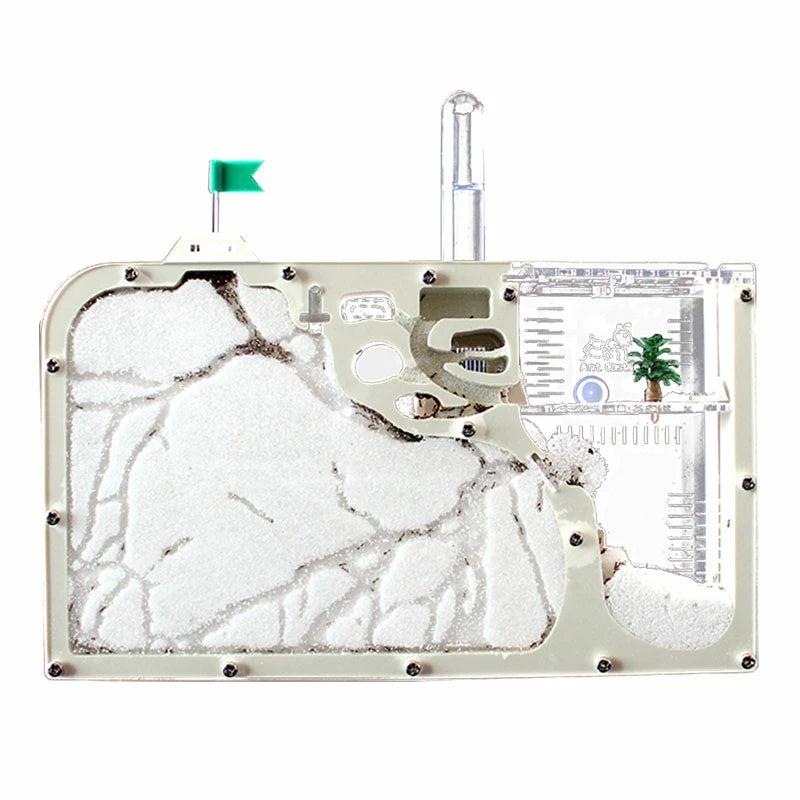 Terrarium Ant Farm with Double-Sided view