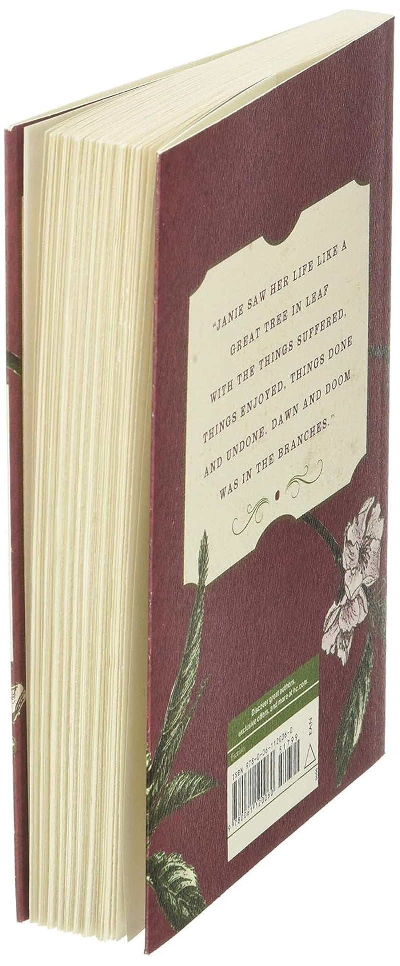 Angled Book POV showing back cover and pages of "Their Eyes Were Watching God" by Zora Neale Hurston, featuring simple floral pattern across the page and the side and top of book pages, slightly open.