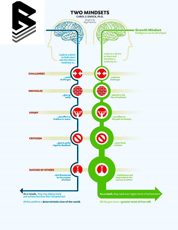 MINDSET: The New Psychology of Success | TOP 10 Best New WINNING Books