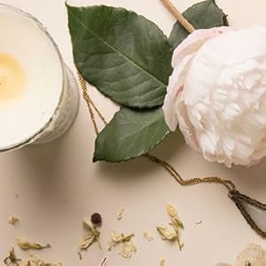 The Woman's Herbal Apothecary by JJ Pursell