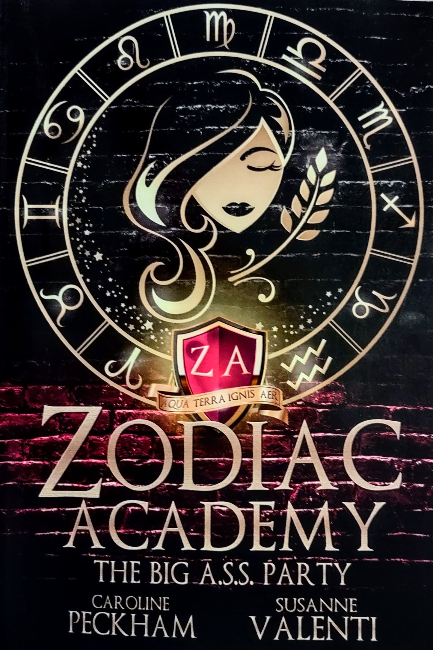Zodiac Academy: The Big A.S.S. Party