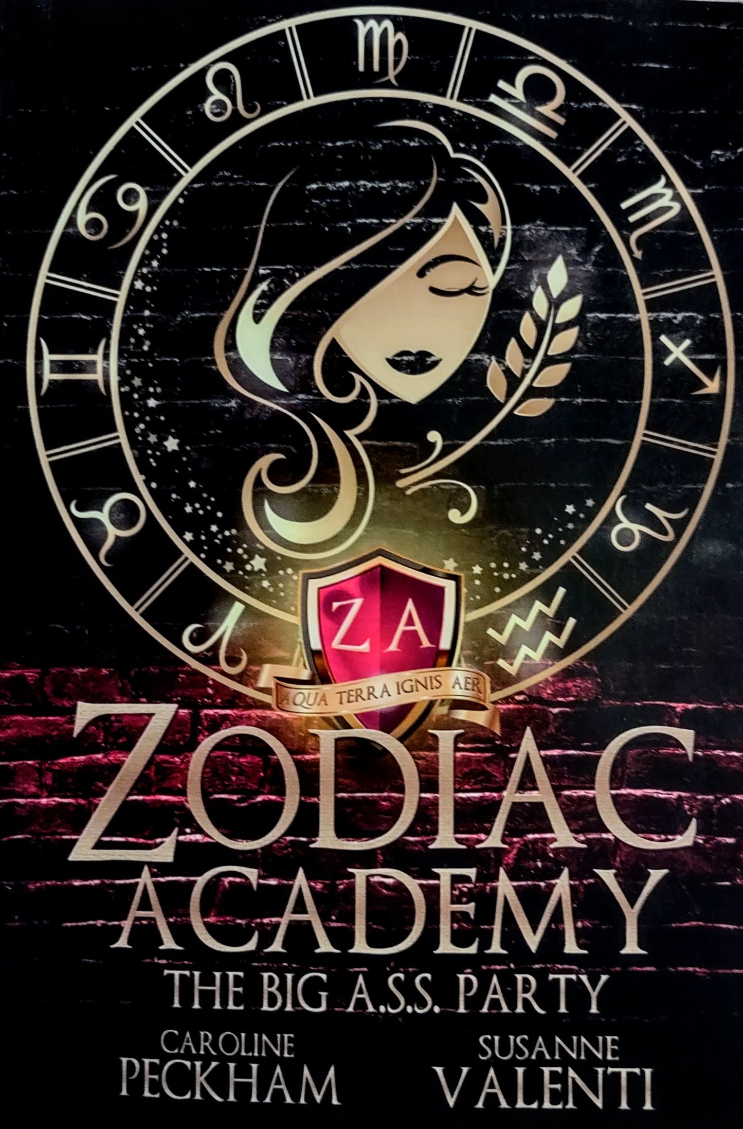 Zodiac Academy: The Big A.S.S. Party
