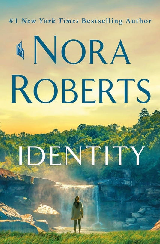 Identity : a Novel (Hardcover)