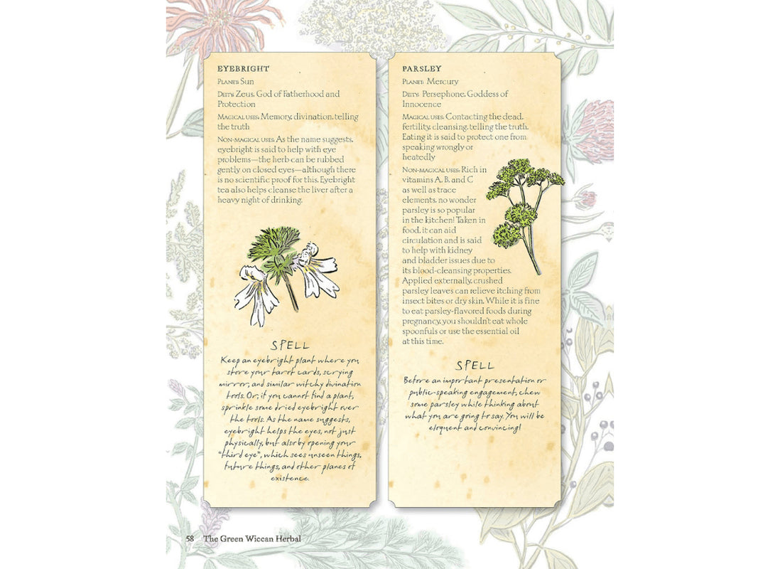 Open book view of “The Green Wiccan Herbal” by Silja, showing a two‑page spread with text describing magical herbs and their uses in Wiccan practice. Features decorative borders and botanical illustrations in a green‑themed layout.